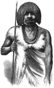 Aboriginal Tasmanians: Indigenous people of the Australian island state of Tasmania