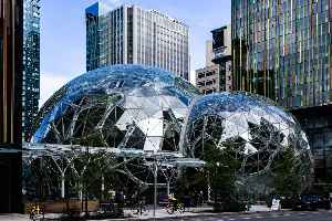 Amazon (company)