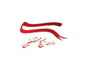 Basij: Volunteer militia in Iran