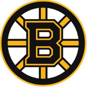 Boston Bruins: National Hockey League team in Boston, Massachusetts
