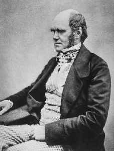 Charles Darwin: English naturalist and biologist