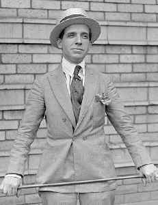 Charles Ponzi: Italian businessman and con artist