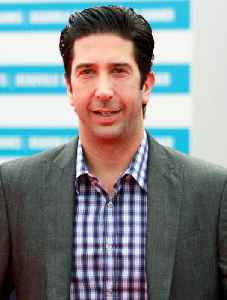 David Schwimmer: Actor, producer, director