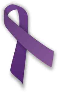 Domestic violence: Pattern of behavior which involves the abuse by one partner against another