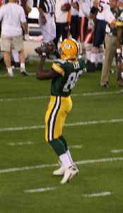 Donald Lee (American football): Player of American football