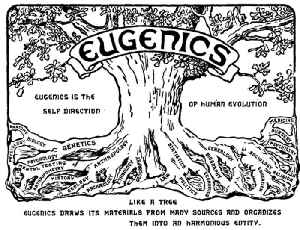 Eugenics: Ethically controversial aims to improve the genetic quality of the human population through selective breeding