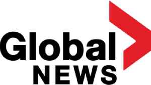Global News: Canadian news network, division of Global Television Network