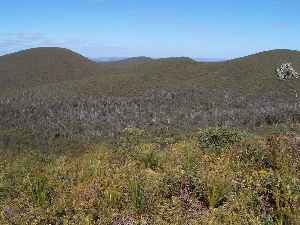 Heath: Shrubland habitat
