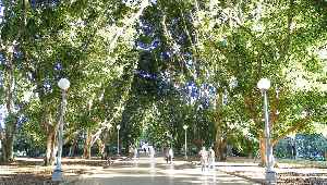 Hyde Park, Sydney: Park in Sydney, New South Wales, Australia