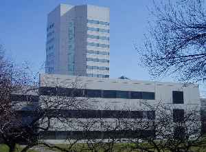 Johnson & Johnson: U.S. multinational medical devices, pharmaceutical and consumer packaged goods manufacturer