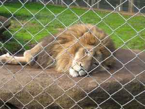 Kamo Wildlife Sanctuary