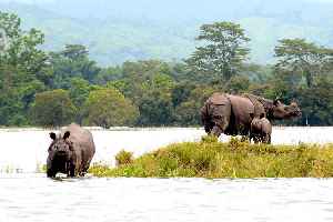 Kaziranga National Park