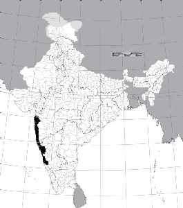 Konkan: A western region in Maharahtra, India