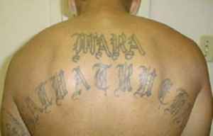 MS-13: Transnational criminal gang