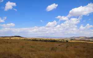 Maasai Mara: Game reserve in Narok County, Kenya