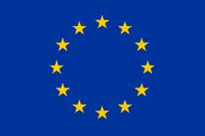 Member of the European Parliament: Person who has been elected to serve as a popular representative in the European Parliament