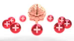 Mental health: Describes a level of psychological well-being, or an absence of a mental disorder