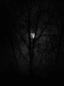 Midnight: 12 o'clock at night; transition time period from one day to the next