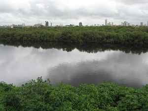 Mithi River