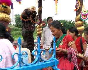 Naga Panchami