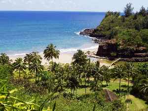 National Tropical Botanical Garden: Nonprofit organization in United States of America