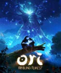 Ori and the Blind Forest: 2015 platform-adventure Metroidvania video game
