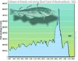 Overexploitation: Depleting a renewable resource