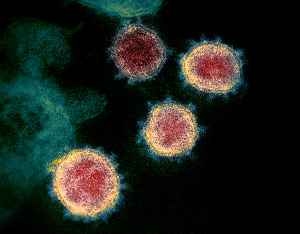 Paediatric multisystem inflammatory syndrome: Disease of children; pediatric comorbidity from COVID-19