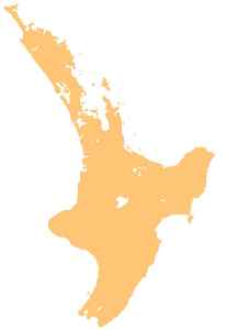 Raglan, New Zealand: Minor urban area in Waikato, New Zealand