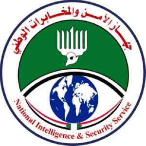 Rapid Support Forces