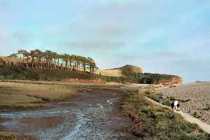 River Otter, Devon: River in Somerset and Devon, England