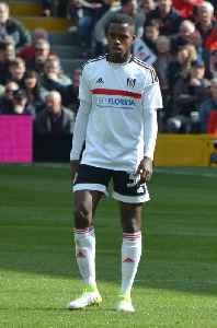 Ryan Sessegnon: English association football player