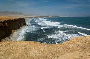 Sea: Large body of salt water