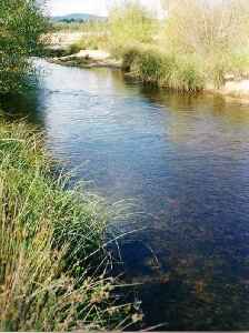Shoalhaven River: River in Australia