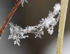 Snowflake: Single ice crystal or an aggregation of ice crystals which falls through the Earth's atmosphere