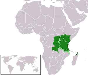 Swahili language: Bantu language, mostly spoken mainly within East Africa, national language in Tanzania and one of the official languages of Kenya