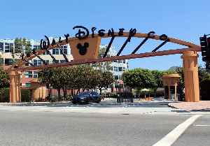 The Walt Disney Company