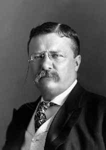Theodore Roosevelt: 26th president of the United States