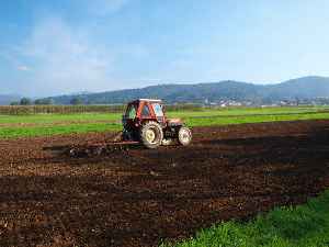 Tractor: Engineering vehicle specifically designed to deliver a high tractive effort