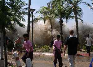 Tsunami: Series of water waves caused by the displacement of a large volume of a body of water