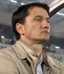 Vladimir Ivić: Serbian association football player