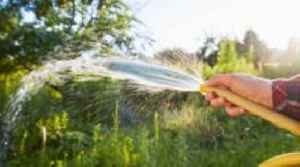 South East hosepipe ban comes into force for 1.4 million customers