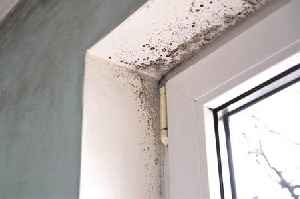 Welsh councils 'significant failings' in dealing with damp and mouldy homes