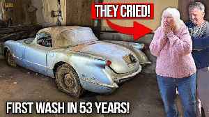1954 Corvette Hasn't Left the Barn Since 1972, Carries Two Impossible Surprises Underhood