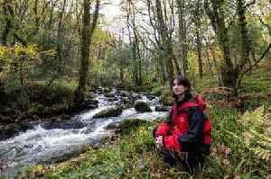 Devon rainforest at risk of disappearing