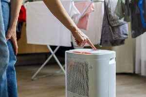 Brits alerted about insect invasion in cold weather and tips to eliminate them