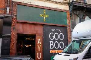 New pub and club Goose in Boots to open in Hockley with the tastiest pies in the UK