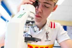 New review calls for lessons on life skills as schools face biggest reform in years