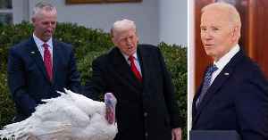 Donald Trump Mocks Joe Biden by Claiming Last Year's Turkey Pardon Was 'Totally Invalid' Due to Alleged 'Autopen' Use