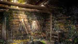 How the ‘Train Dreams’ Production Designer Built a Cabin That Became an Anchor for Memories